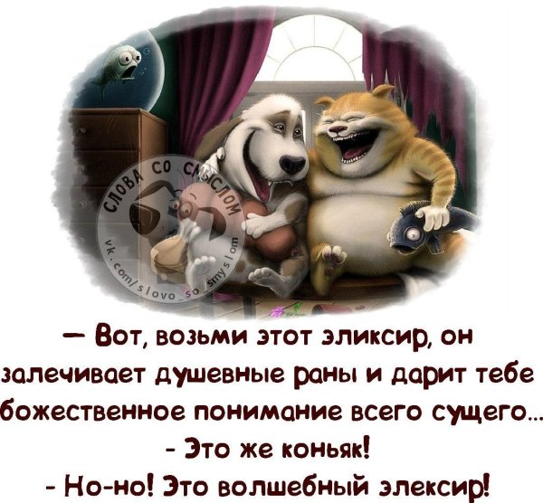 веселые высказывания