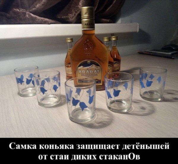 коньяк демотиватор