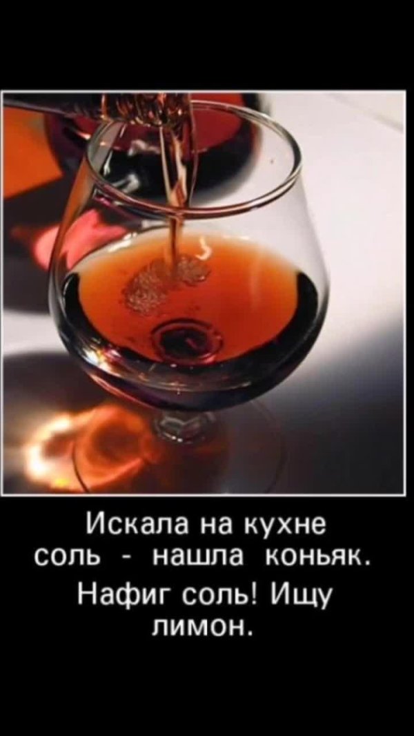 коньяк прикол