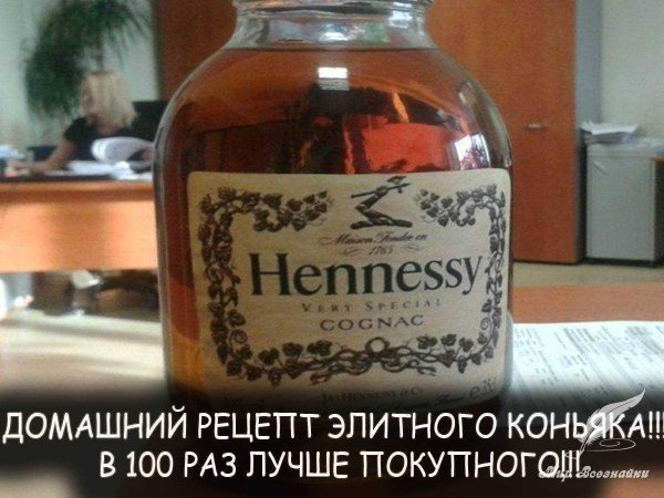рецепт домашнего коньяка