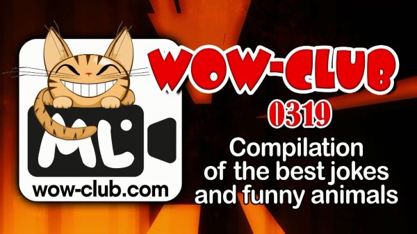 смешная шутка