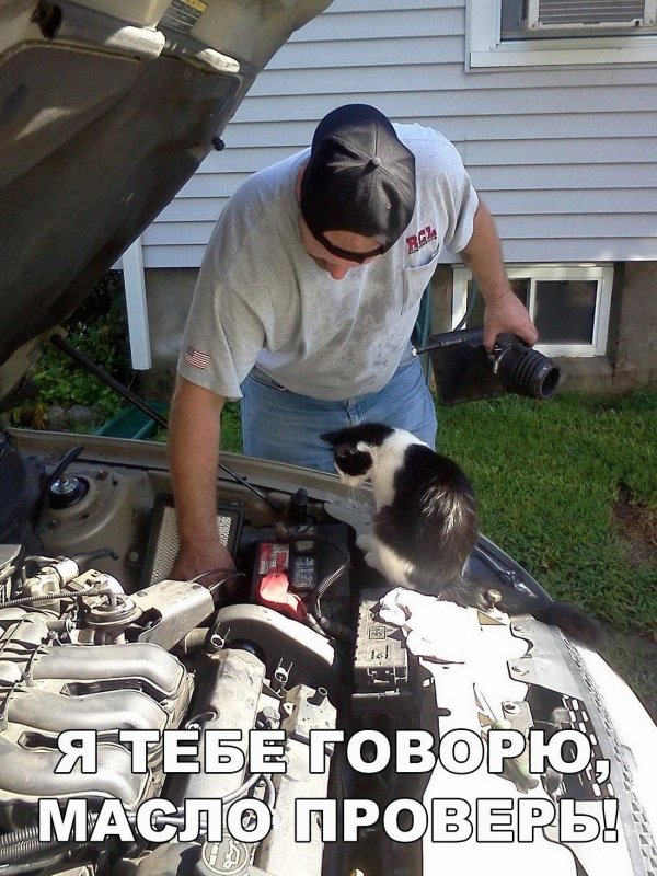 демотиватор масла