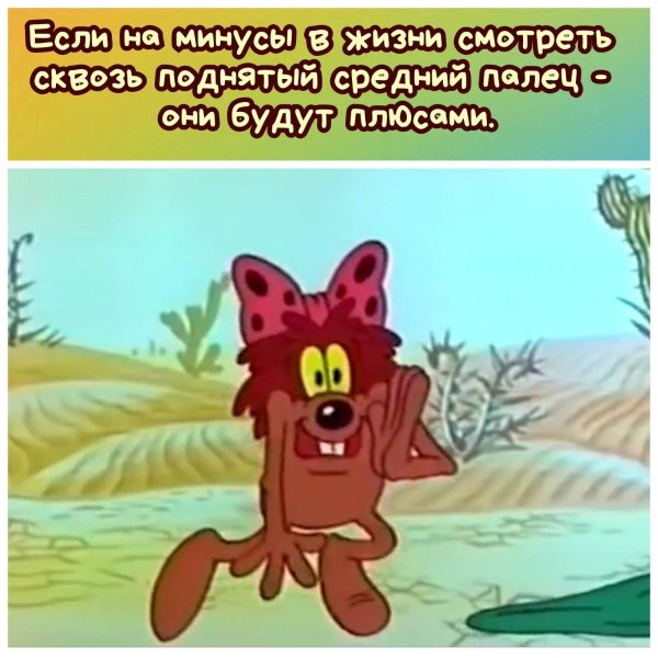 дюдюка барбидонская