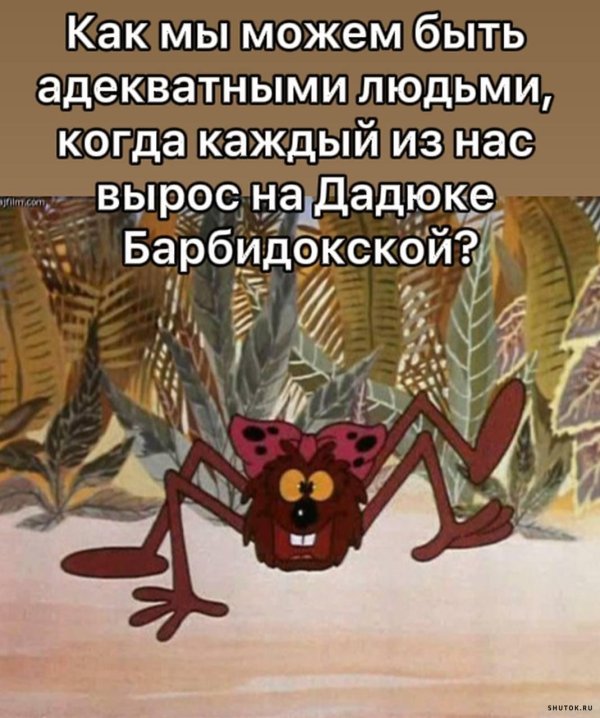 дюдюка барбидонская