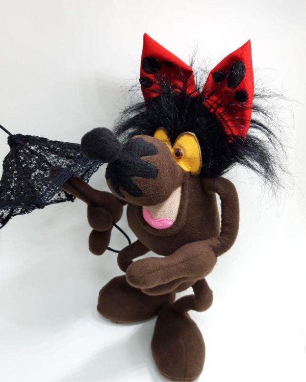 джудилка барбидокская