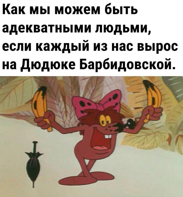 дюдюка барбидонская