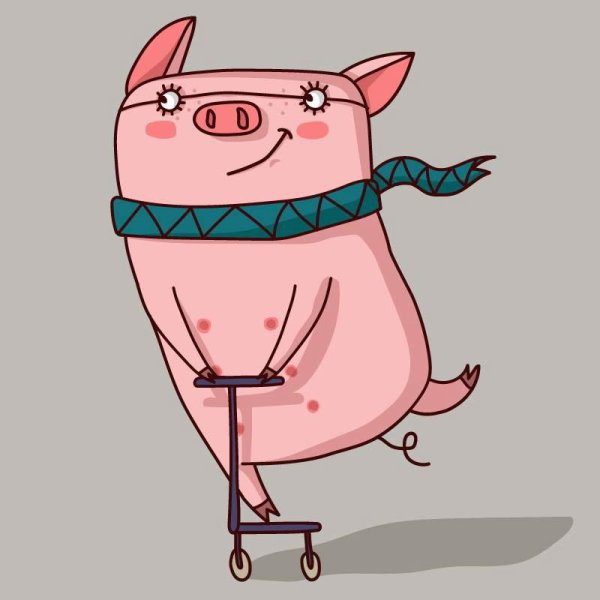 свиньи смешные