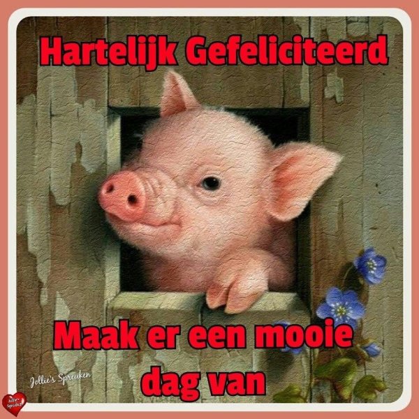 картина свиньи