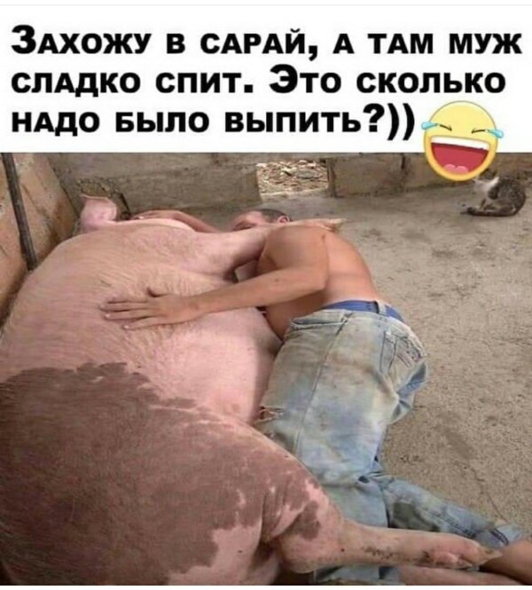 мужик на свинье