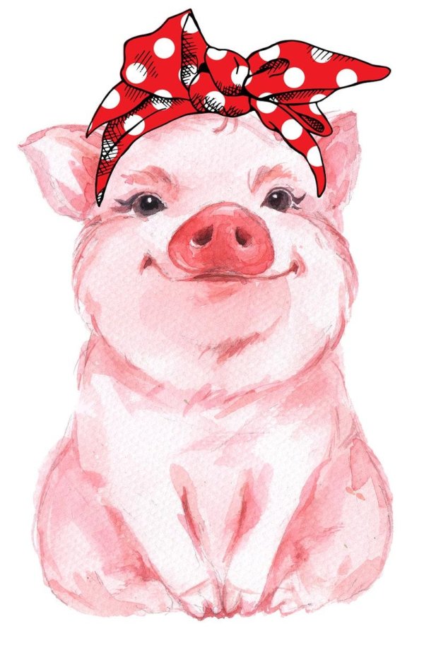 хрюшка акварель