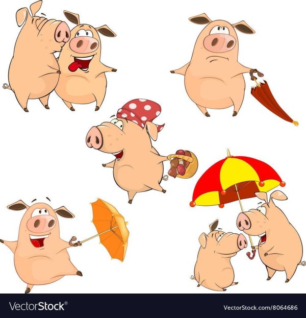 зонт со свиньей