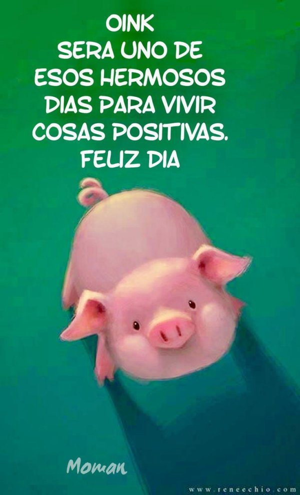 свиньи смешные