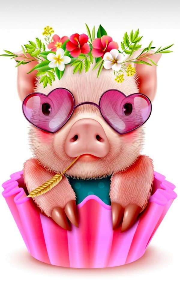 милые поросята