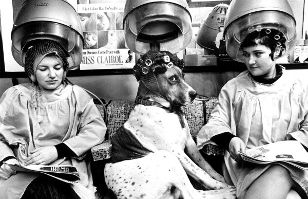 джон дрисдейл