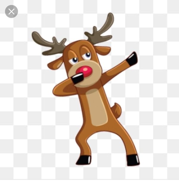 reindeer reindeer