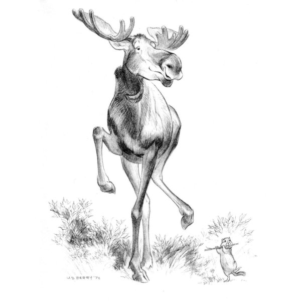 олень рисунок карандашом