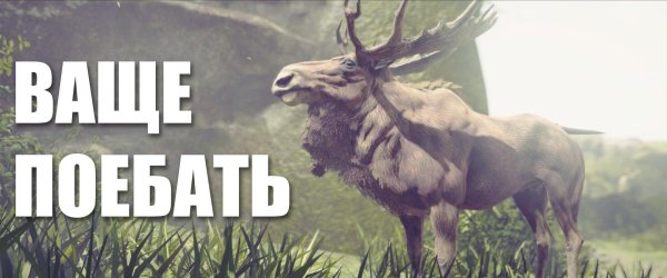 большерогие олени