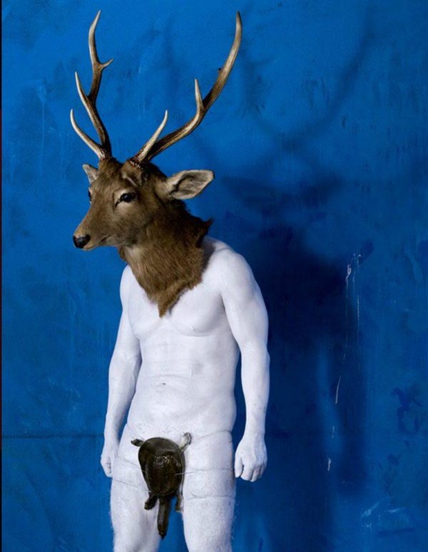 животные в костюмах