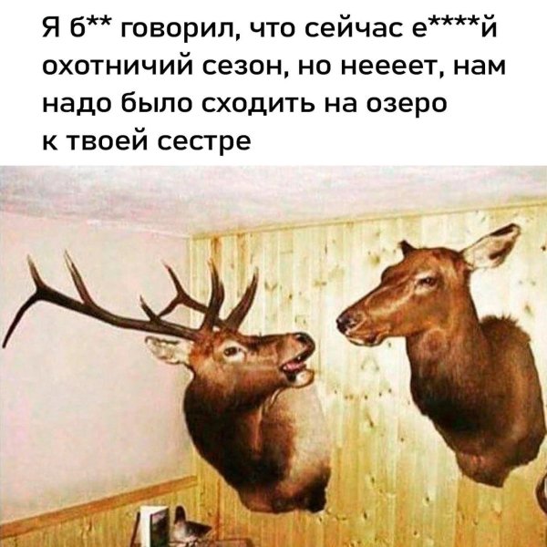 охотничий сезон