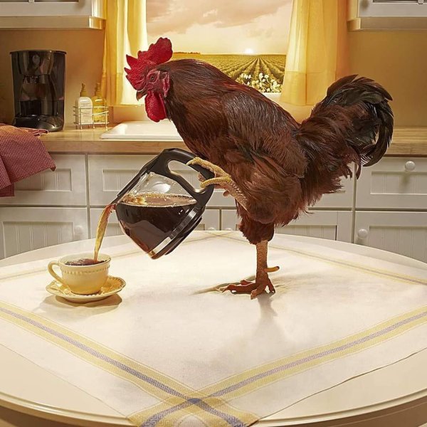 добрейшего утречка