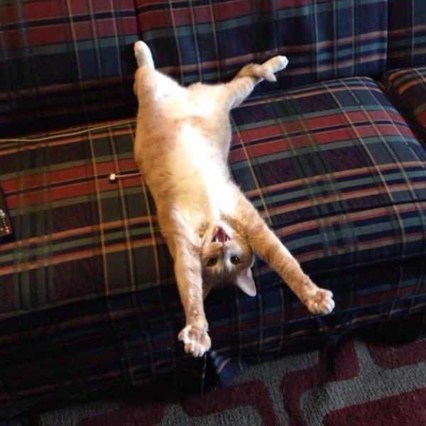 подъем утром