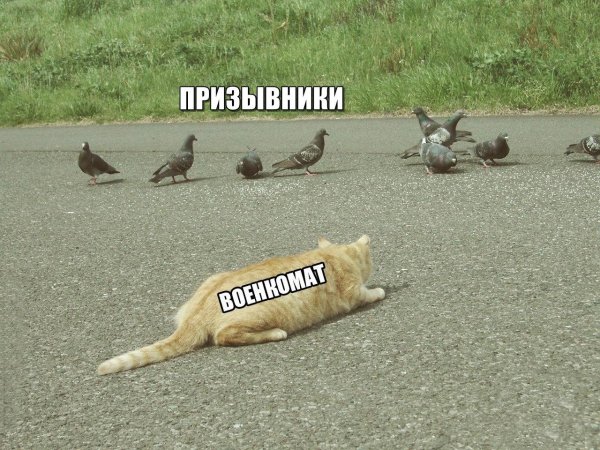 приколы с надписью