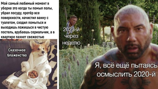 актуальные мемы