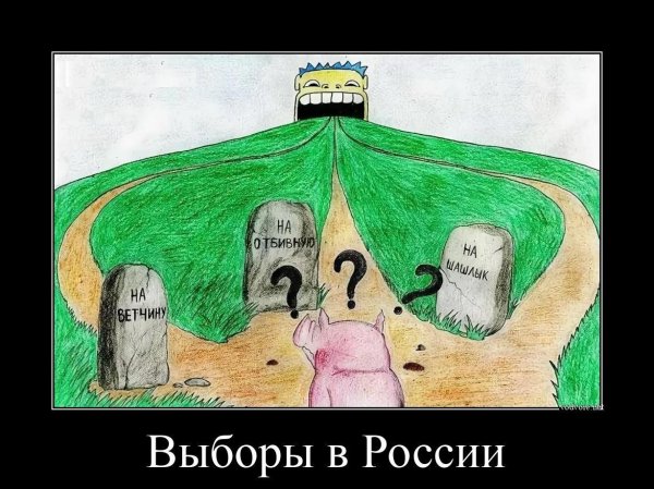 право выбора