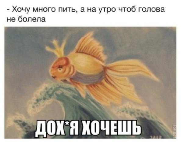 золотая рыбка