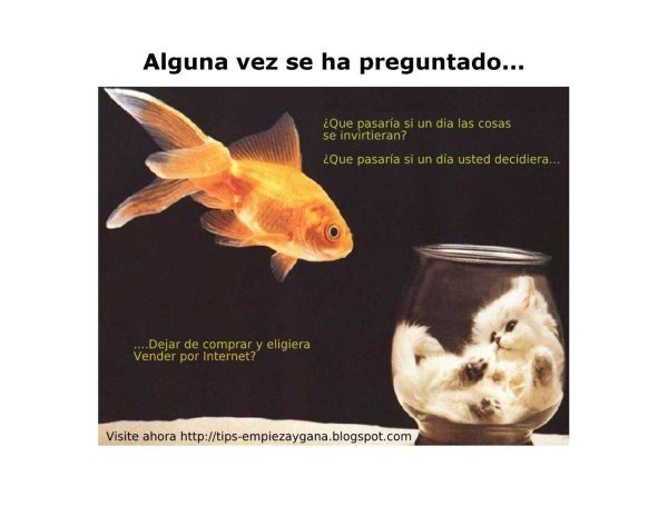 прикольные рыбки