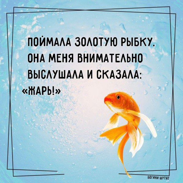 поймал золотую рыбку