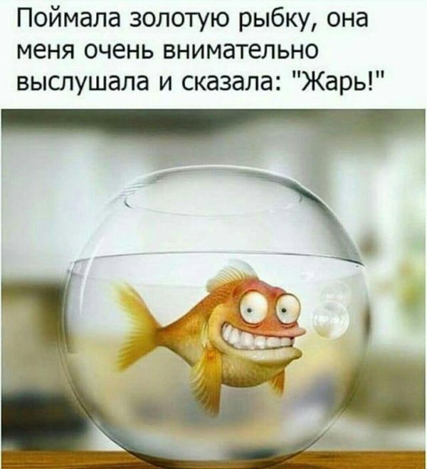 золотой рыбки