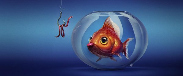 рыбки аквариум