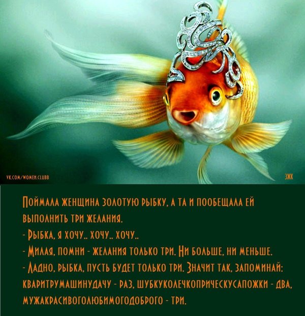 поймай золотую рыбку