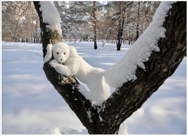 снежные звери