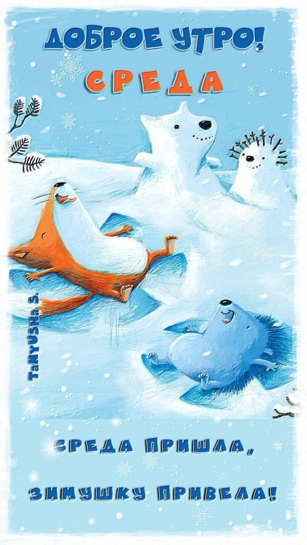 хорошей зимней среды