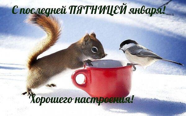 хорошего зимнего дня
