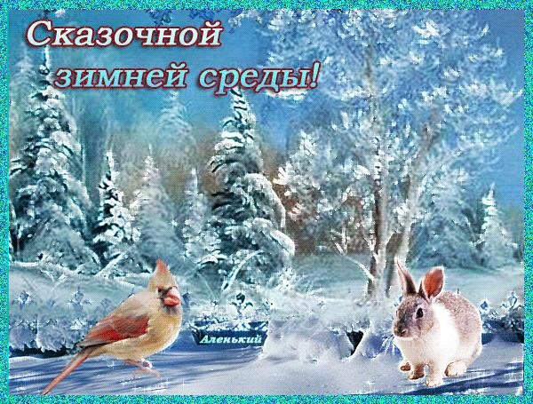 открытки зимняя среда