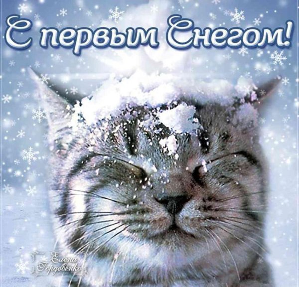 первый снег