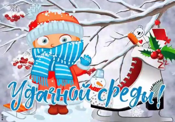 Среда зимние