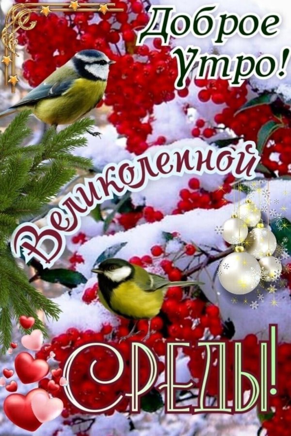 доброе утро синички