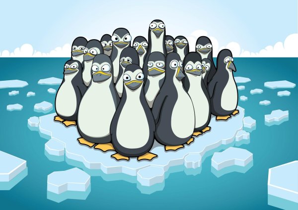 мультяшные пингвины