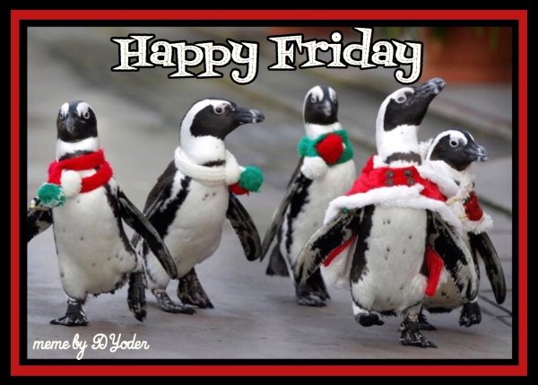 веселые пингвины