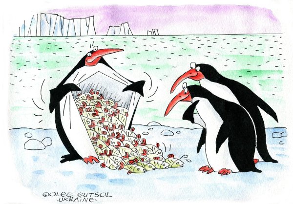 кот среди пингвинов