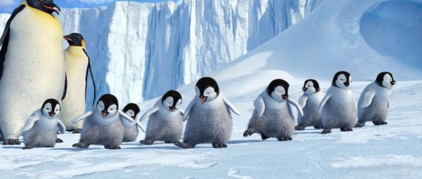 happy feet 2006