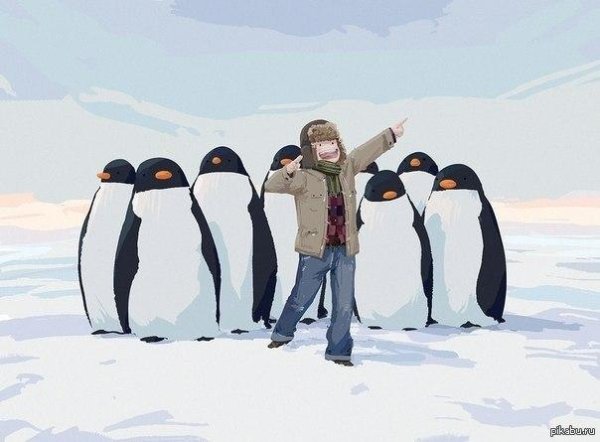 антарктида для детей