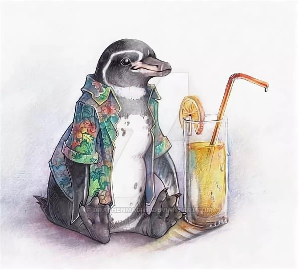 милые рисунки пингвинов