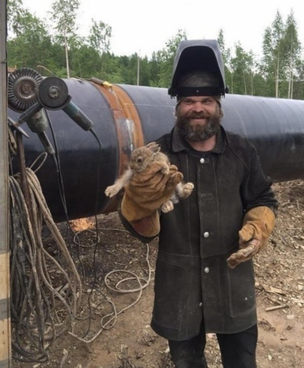 заяц сварщик