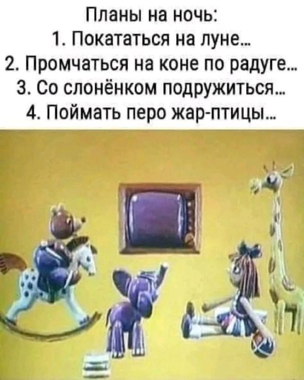 планы на ночь со слоненком подружиться и поймать перо