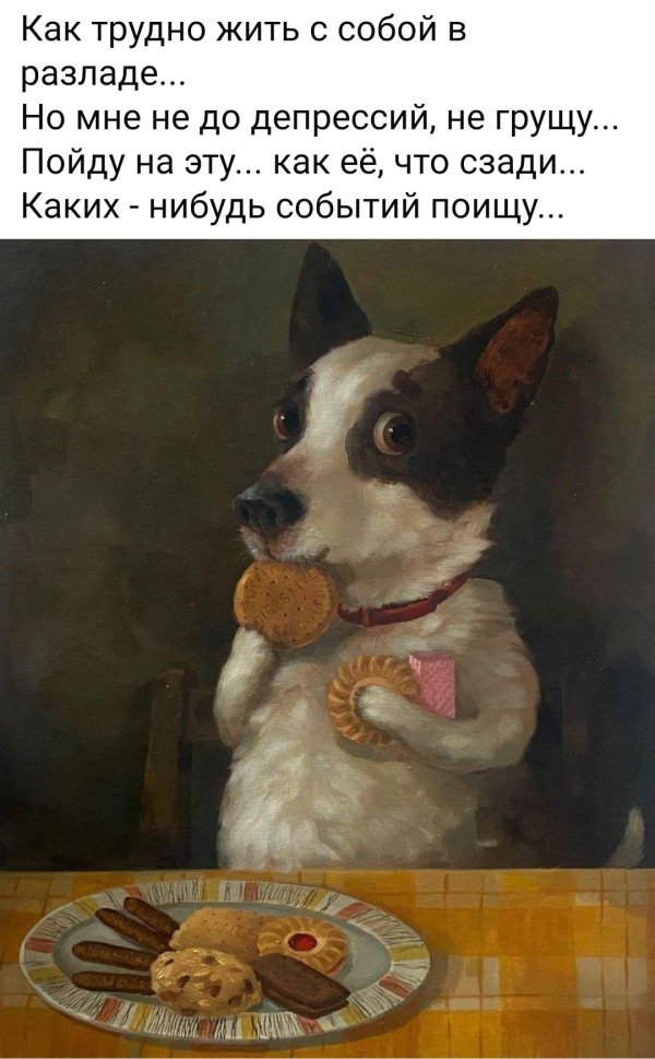 картина собачки